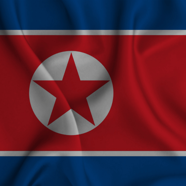 image shows a north korean flag